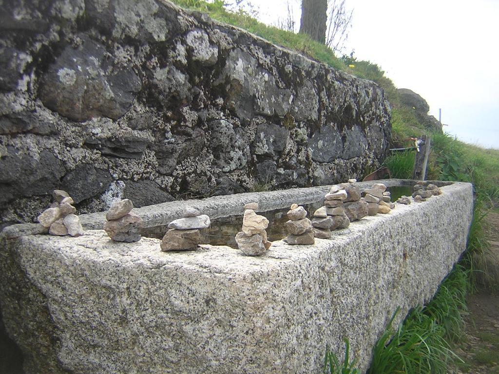 Bois Avec Privatif * Mauriac (Cantal)